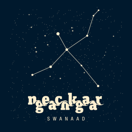NeckarGanga Cover_Swanaad
